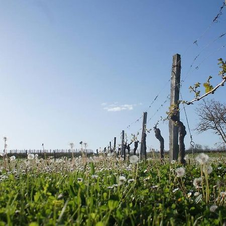 Entre Pierre Et Vigne - Charming Former Winery Farmhouse With Hot Tub & Swimming Pool Monestier  Eksteriør bilde