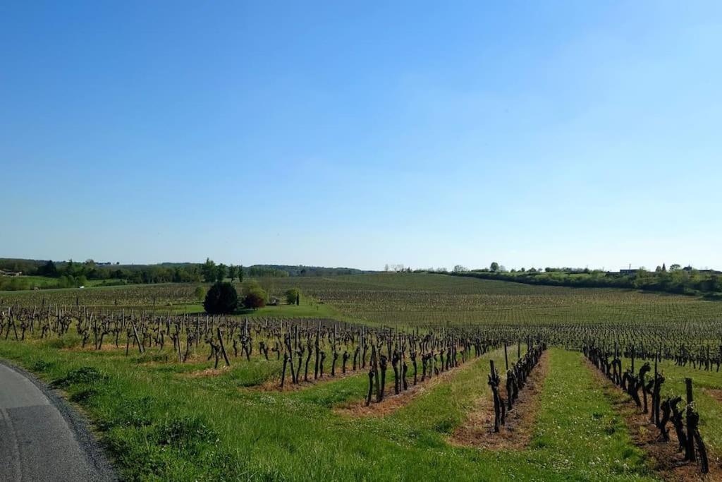 Entre Pierre Et Vigne - Charming Former Winery Farmhouse With Hot Tub & Swimming Pool Monestier  Eksteriør bilde