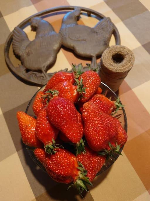 Entre Pierre Et Vigne - Charming Former Winery Farmhouse With Hot Tub & Swimming Pool Monestier  Eksteriør bilde